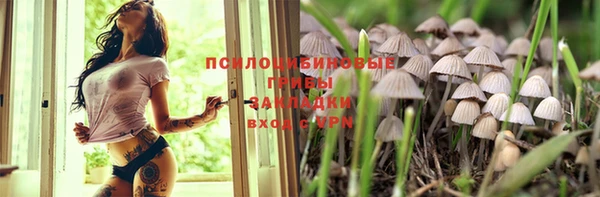 спиды Медвежьегорск