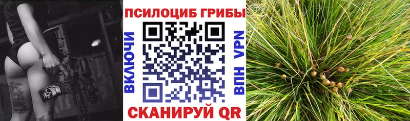 Галлюциногенные грибы GOLDEN TEACHER  наркота  Нягань 