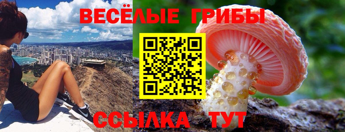 Галлюциногенные грибы Magic Shrooms Нягань