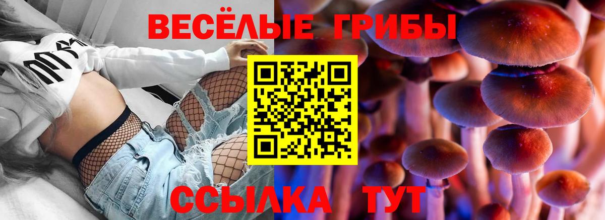 Псилоцибиновые грибы прущие грибы  Галлюциногенные грибы ЛСД  Нягань  Вход с VPN 